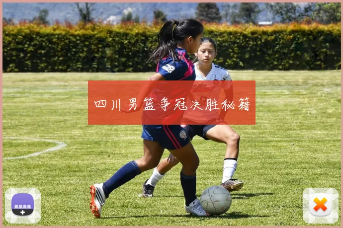 四川男篮争冠决胜秘籍