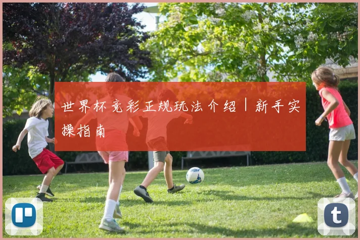 世界杯竞彩正规玩法介绍｜新手实操指南