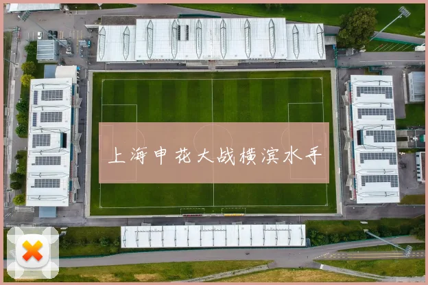 上海申花大战横滨水手