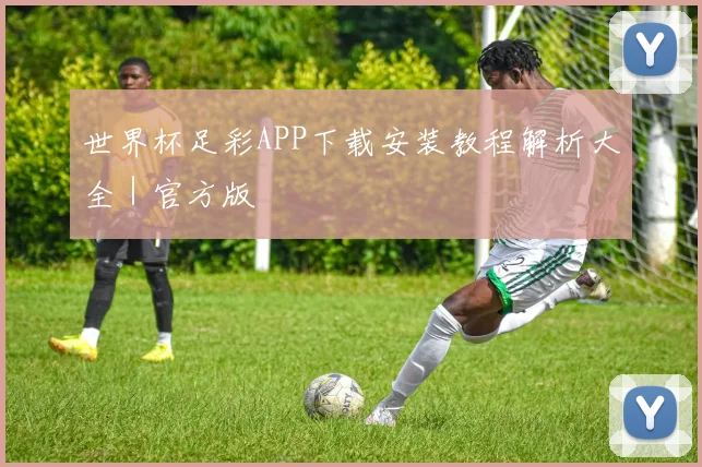 世界杯足彩APP下载安装教程解析大全｜官方版