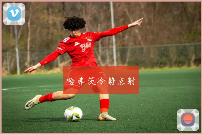 哈弗茨冷静点射
