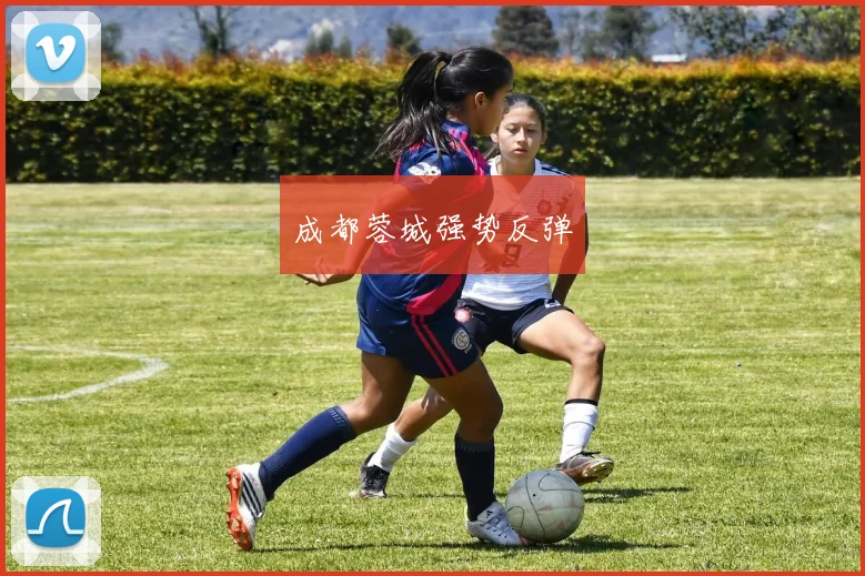成都蓉城强势反弹