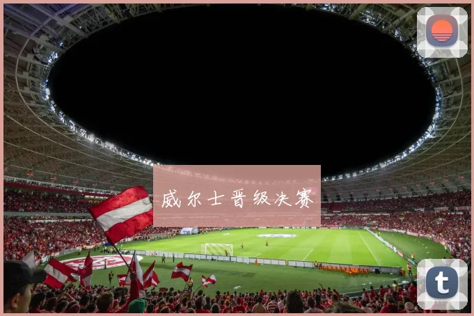 威尔士晋级决赛